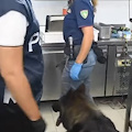 Trattava chimicamente la marijuana nel suo ristorante, un arresto a Catania