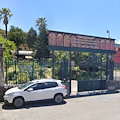 Tumore raro rimosso senza bisturi: intervento innovativo all’ospedale “Fucito” di Mercato San Severino