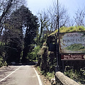 Verde pubblico e privato: parte la manutenzione coordinata del Monte Faito