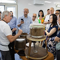 Workshop a Cetara: sostenibilità e innovazione per lo sviluppo di Costiera Amalfitana e Penisola Sorrentina