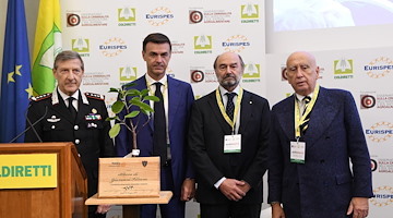Agromafie, Coldiretti: l’albero del giudice Falcone piantato sui terreni confiscati ai casalesi