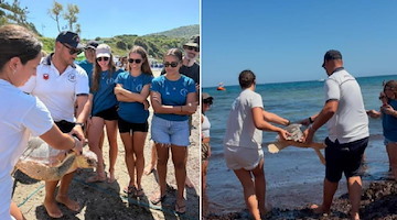Agropoli, 7 tartarughe marine tornano nel loro habitat naturale dopo lungo periodo di riabilitazione 