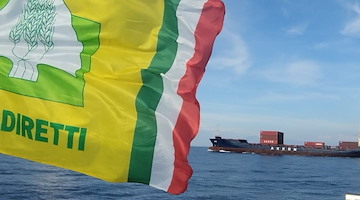 Akkon Italia diffida Coldiretti: «La nave DEPE non trasportava uva né verdure dall’Africa, solo container vuoti per l’export italiano»