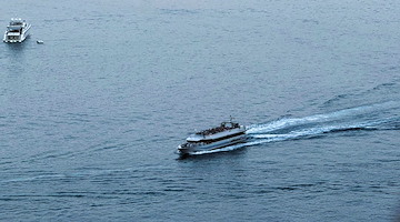 Alicost conferma i collegamenti per Capri, Ischia e Procida e prolunga la “Metro del Mare”