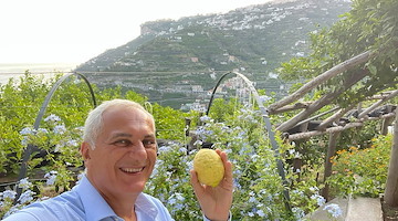 Campania, Caputo: "Al via bandi da 25 milioni per investimenti agricoli a forte impatto ambientale"