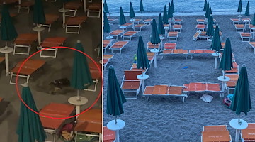 Caretta Caretta, possibile nidificazione sulla spiaggia di Maiori: area isolata e sorvegliata 