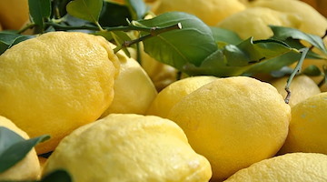 Cetara celebra il suo “Oro Giallo”: una serata tra cultura, limoni e tradizione