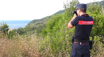 Cilento, Vallo di Diano e Alburni: vigilanza rafforzata dei Carabinieri Forestali per Ferragosto