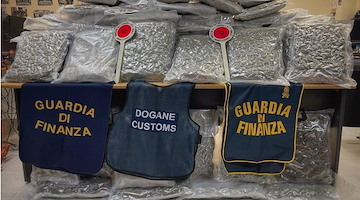 Civitavecchia, sequestrati 81 chilogrammi di marijuana al porto: arrestato straniero 