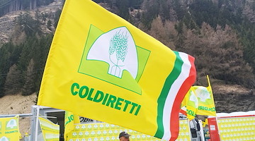 Coldiretti Salerno: 3 ottobre rinnovo delle cariche i nuovi membri per “Coldiretti Giovani Impresa” e “Coldiretti Donne”