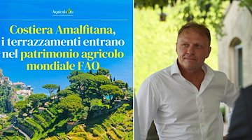 Costa d'Amalfi, i terrazzamenti entrano nel patrimonio agricolo mondiale FAO. Lollobrigida: "Grande orgoglio" 