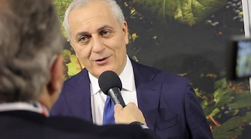 Expo 2025 Osaka: la Campania protagonista al Padiglione Italia tra cultura, innovazione ed eccellenze agroalimentari