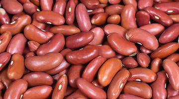 Fagioli: energia e salute in un unico legume