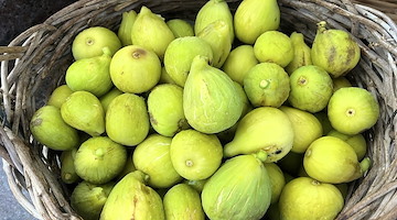Fico, dolce alleato naturale contro stitichezza e affaticamento