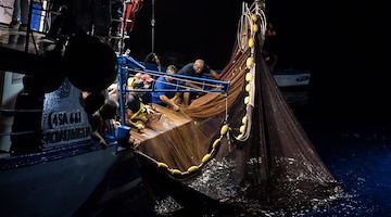 Gal Pesca Approdo di Ulisse: nuove reti per 50 operatori tra Costiera Amalfitana, Penisola Sorrentina e Capri 