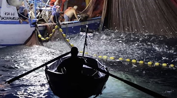 Il Gal Pesca Approdo di Ulisse finanzia 50 attività di piccola pesca costiera per la sostituzione delle reti