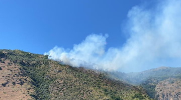 Incendio sulle colline di Nerano, colonna di fumo visibile da lontano