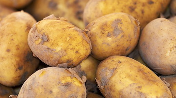 La patata, tesoro del Perù diventato alimento universale