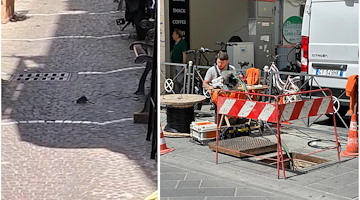 Maiori, zona est ancora senza Internet: topi rosicchiano i cavi Tim, è la seconda volta in un mese