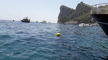 Massa Lubrense: riapre il Campo boe in località Le Mortelle pe salvaguardare posidonia e fondali 