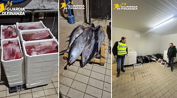 Napoli, sequestrata una tonnellata di pesce senza tracciabilità al mercato di Mugnano