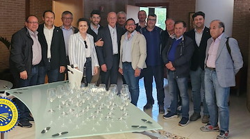 Olio extravergine della Campania verso la IGP: nasce il Consorzio di Tutela 
