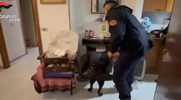 Operazione antidroga tra Salerno e altre cinque province: 41 misure cautelari, coinvolti anche minorenni
