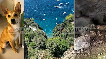 Positano, ritrovato Achille, il cane di Andrea e Iuliia: era scomparso a Liparlati