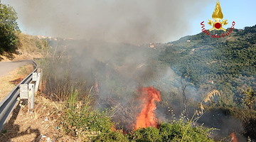 Prignano Cilento in fiamme: dieci ettari di macchia mediterranea e uliveti distrutti