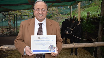 Provolone del Monaco DOP, Giosue’ De Simone confermato alla presidenza del Consorzio di Tutela