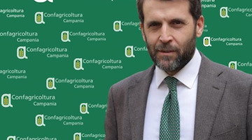 Rafforzamento Servizio Fitosanitario, Conte (Confagricoltura Campania): “Scelta giusta per tutelare imprese, filiere e ambiente”