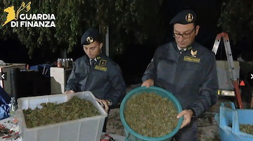 Scoperta maxi serra di cannabis sui Monti Lattari: sequestrata oltre una tonnellata di droga