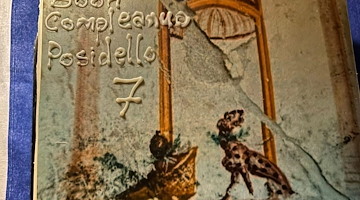 Sette anni di meraviglia: il Museo Archeologico Romano di Positano celebra il suo anniversario