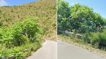 Strada Provinciale 94 in balia del degrado, Tommasetti: “La Provincia intervenga”