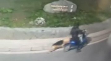 Trascina un cane per sei chilometri con l'e-bike: denunciato dog sitter nel napoletano 