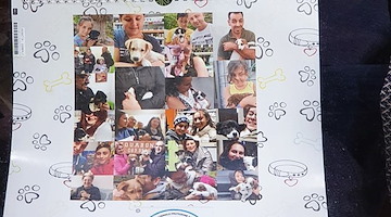 Un calendario per celebrare le adozioni: l'iniziativa dell'ENPA Costa d'Amalfi