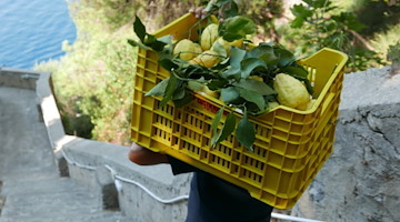 Valorizzazione del turismo enogastronomico: online la procedura per la presentazione dei progetti