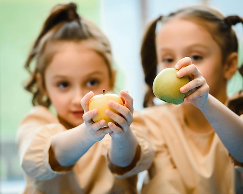 Da lunedì 20 ottobre parte il servizio mensa scolastica a Praiano