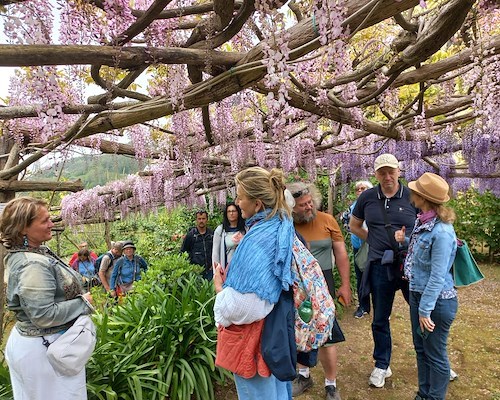 Tramonti, riapre il Giardino Segreto dell’Anima: botanici viennesi inaugurano la nuova stagione tra glicini e camelie