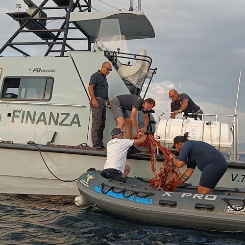 Una rete di oltre 450m rimossa dall'Area Marina Protetta Parco Sommerso Di Gaiola <br />&copy; Area Marina Protetta Parco Sommerso Di Gaiola