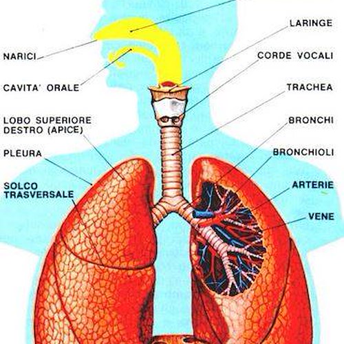 A Vietri una giornata sull’importanza della salute respiratoria
