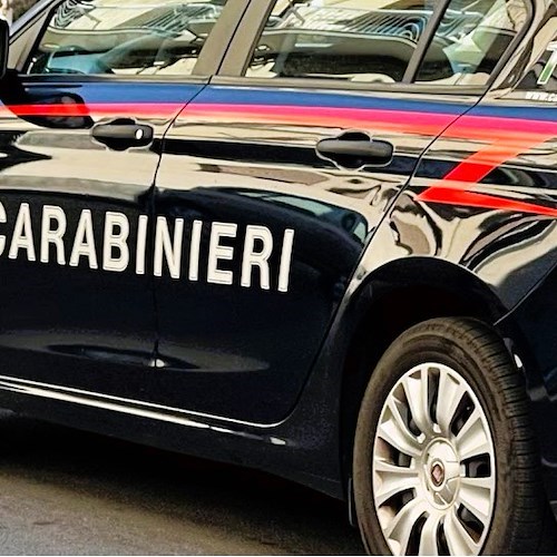 Carabinieri<br />&copy; Massimiliano D'Uva