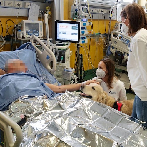 All'ospedale di Rivoli ecco la pet therapy: il reparto di rianimazione apre le porte agli amici a quattro zampe<br />&copy; Alberto Cirio
