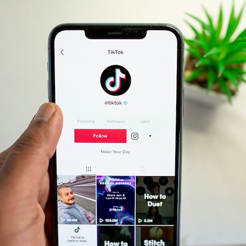 TikTok<br />&copy; solenfeyissa su Pixabay