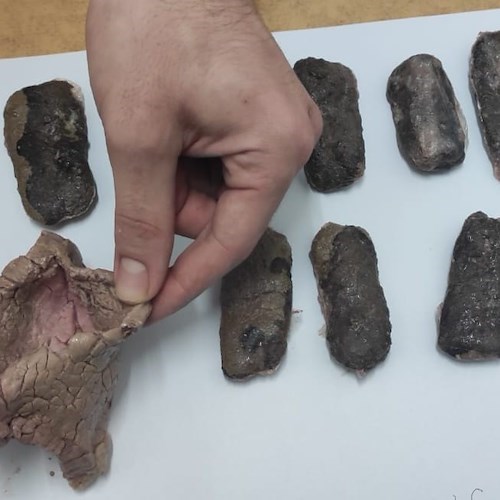 Cannabis nascosta nella carne<br />&copy; Polizia Penitenziaria