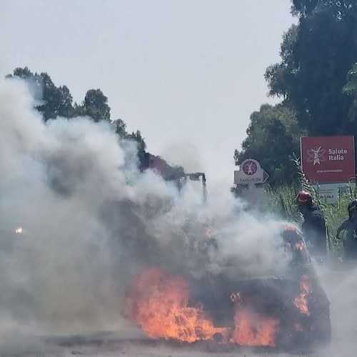 Caserta, auto in fiamme sulla SS7 quater<br />&copy; Vigili del fuoco
