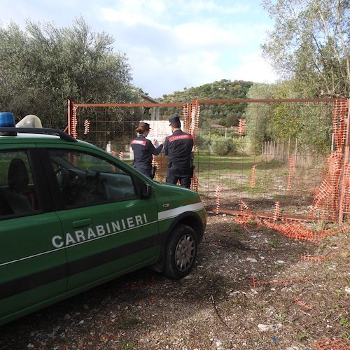 Castellabate, sequestrata lottizzazione abusiva nel Parco Nazionale del Cilento: dodici indagati