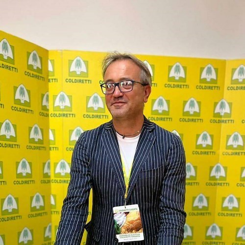 Anrico Amico, Coldiretti Caserta