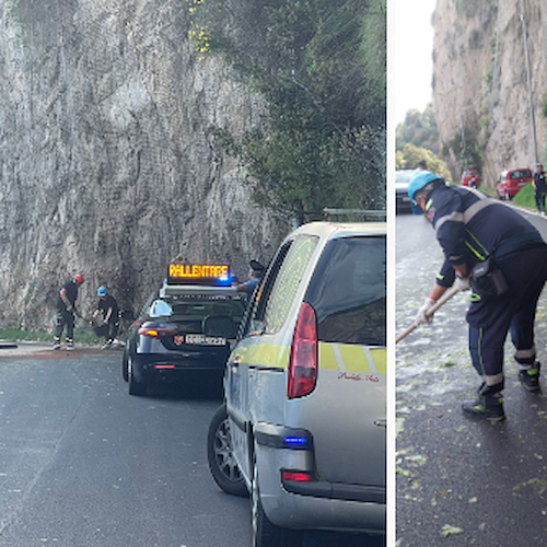 Conca dei Marini, albero crolla e trancia cavo di illuminazione: due giovani scivolano con lo scooter 