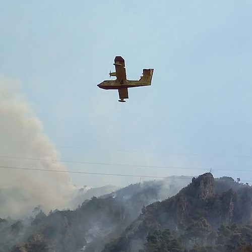 Gli incendi boschivi in Costiera: male endemico di stagione?